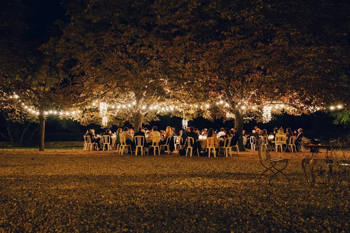 An outdoor gathering under trees strung with lights